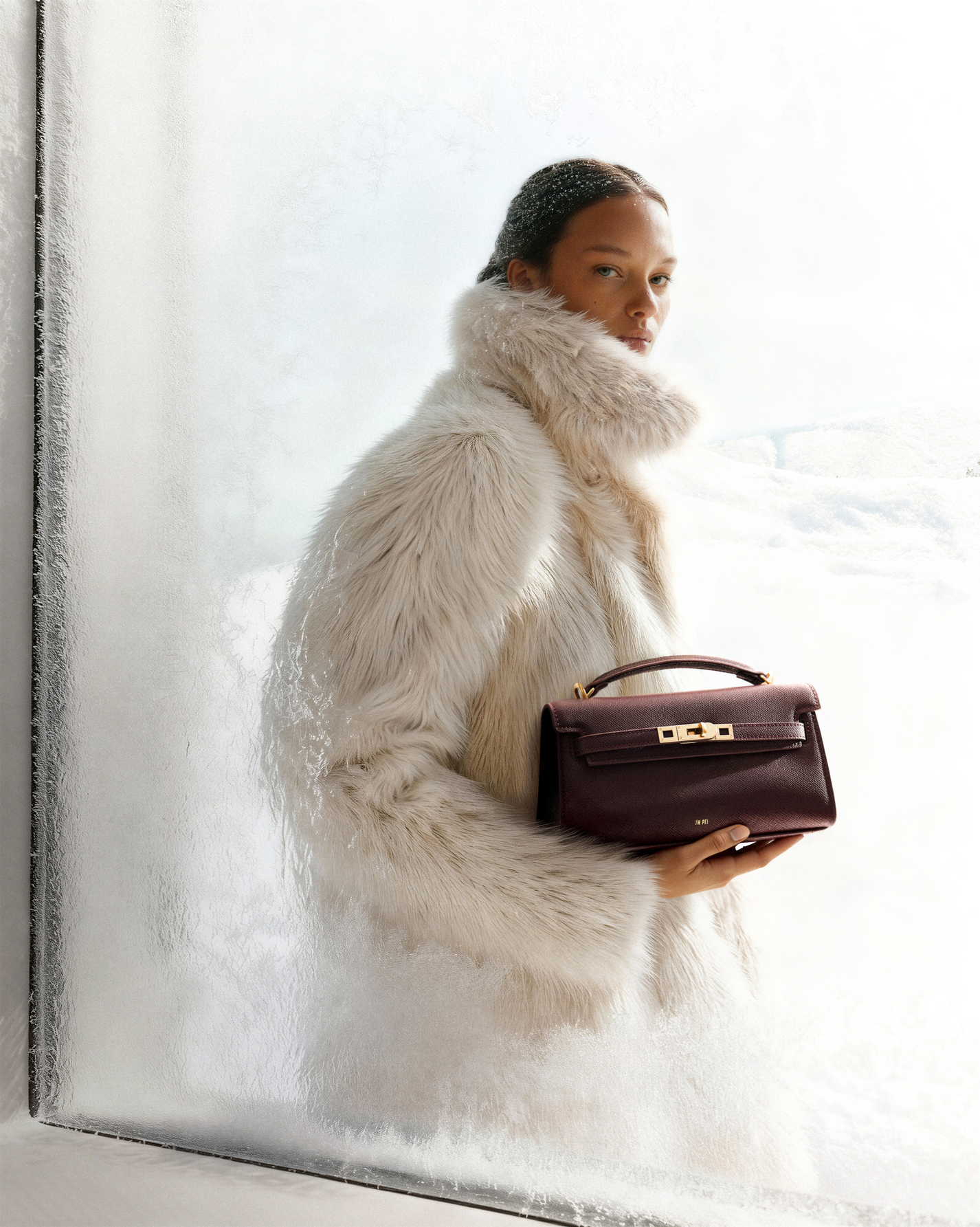 Élégance hivernale