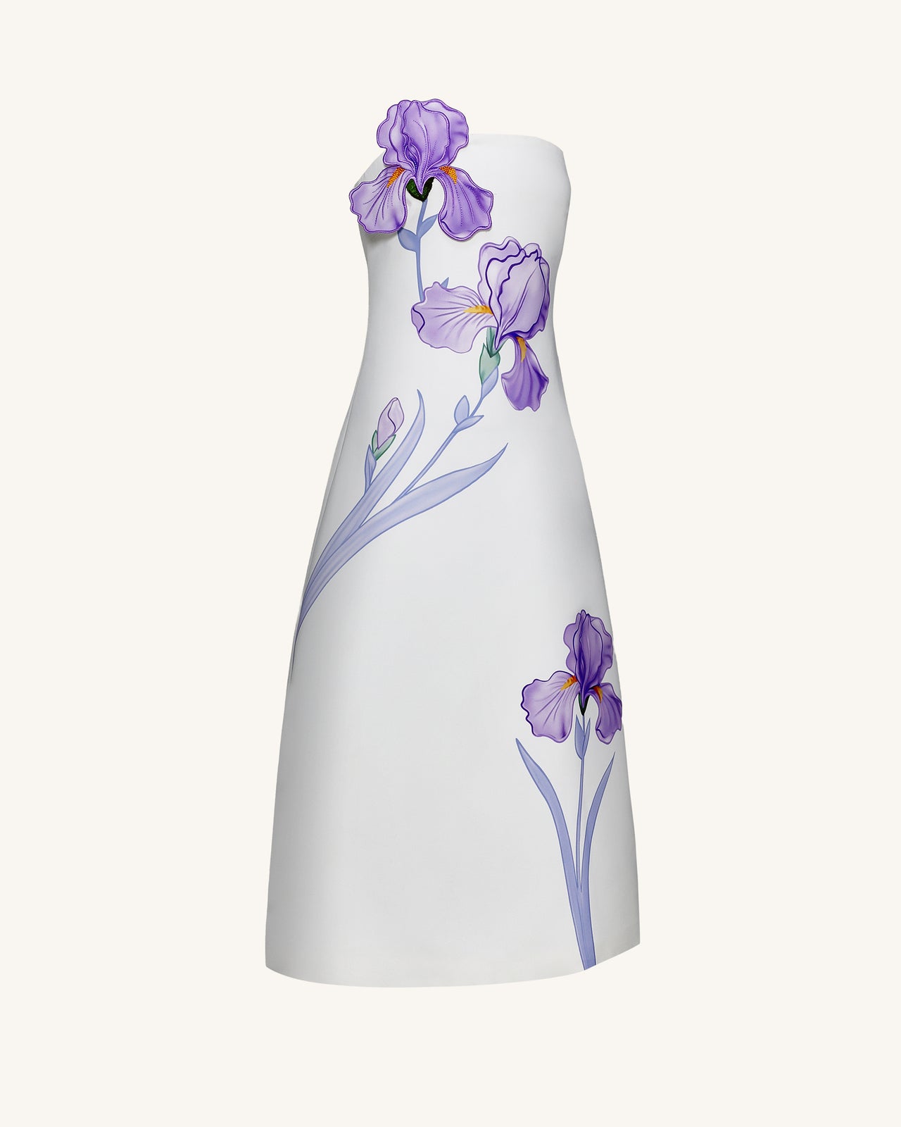 Iris Robe longue évasée sans bretelles à imprimé floral – Blanc