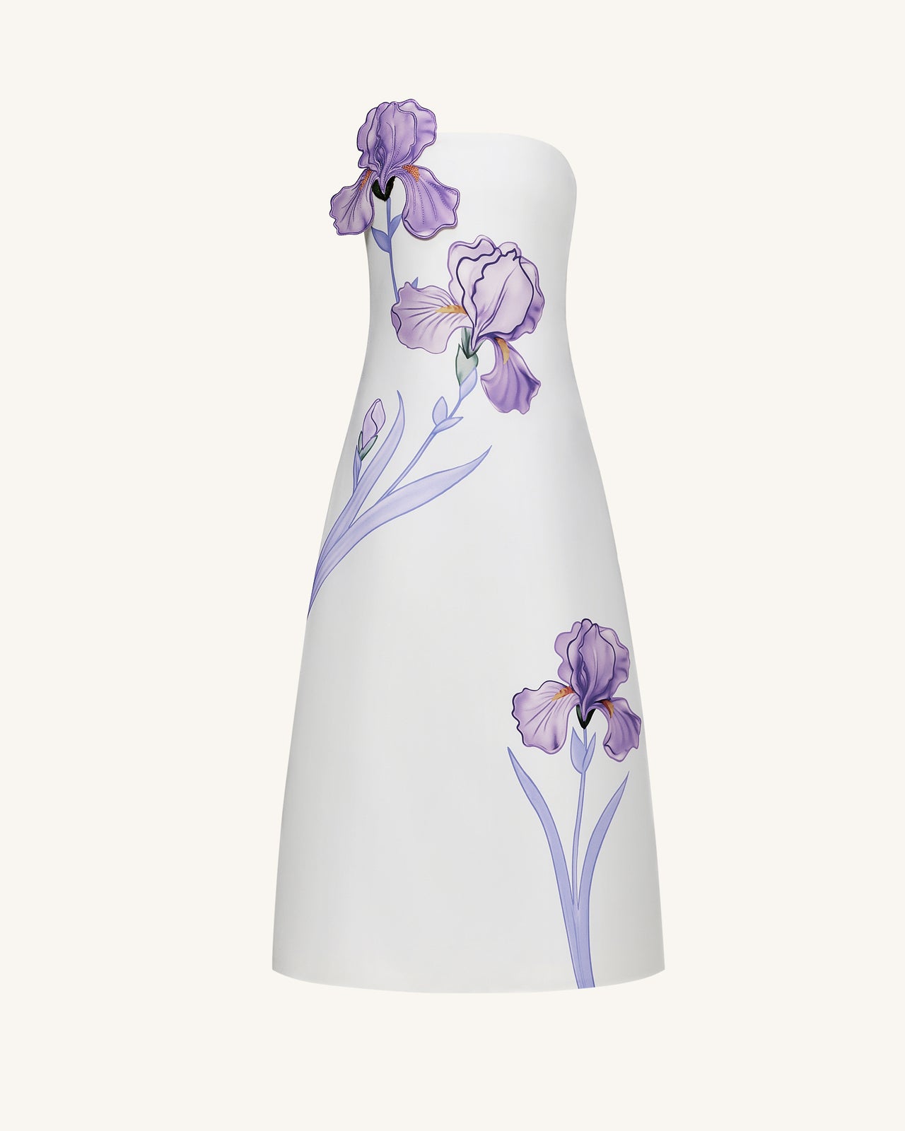 Iris Robe longue évasée sans bretelles à imprimé floral – Blanc