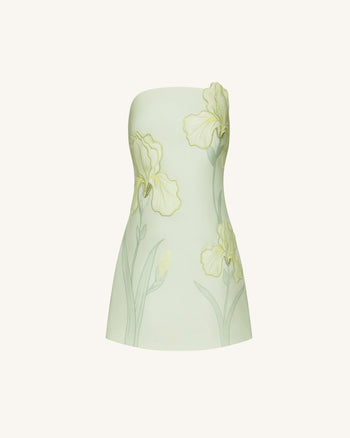 Iris Robe bustier à imprimé floral - Vert