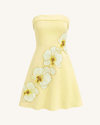 Orchid Robe Midi Patineuse Bandeau Broderie - Jaune Pâle