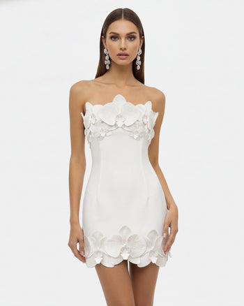 Orchid Mini Robe Bandeau avec Garniture - Blanc