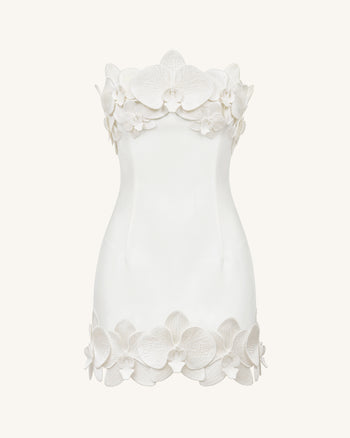 Orchid Mini Robe Bandeau avec Garniture - Blanc