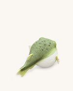Pochette Blowfish - Verte