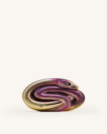 Pochette Serpent Sophia - Multicolore