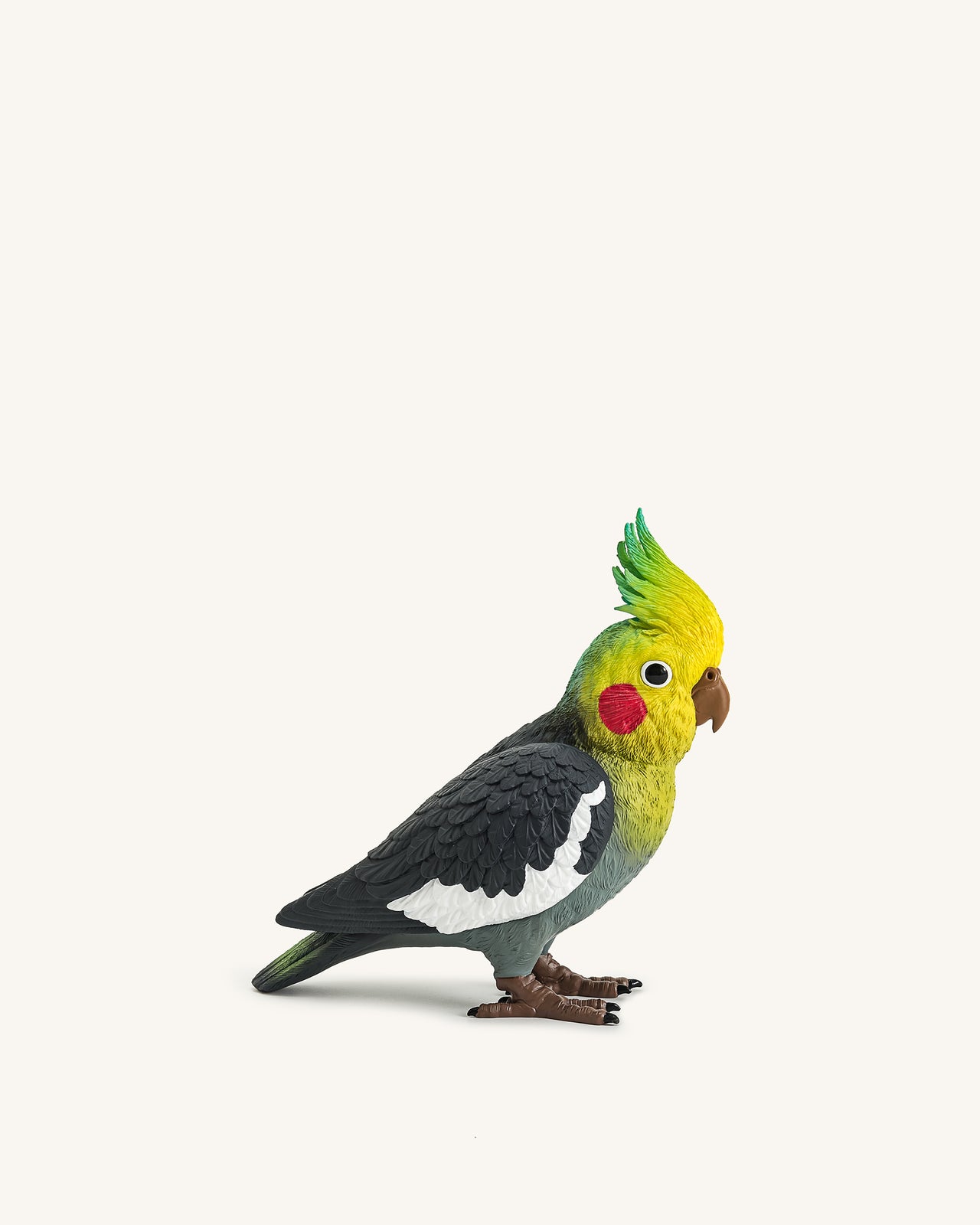 Pochette Gray Cockatiel – Multicolore