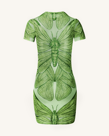 Robe Mini Dragonfly Shell – Vert