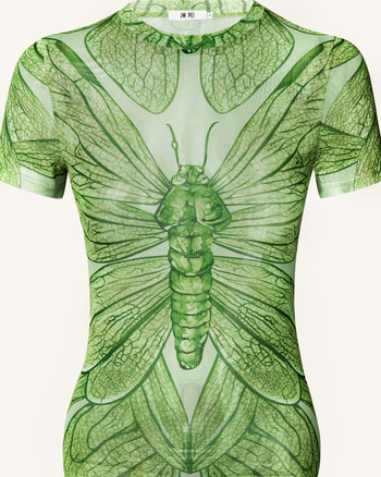 Robe Mini Dragonfly Shell – Vert