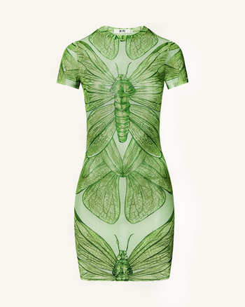 Robe Mini Dragonfly Shell – Vert