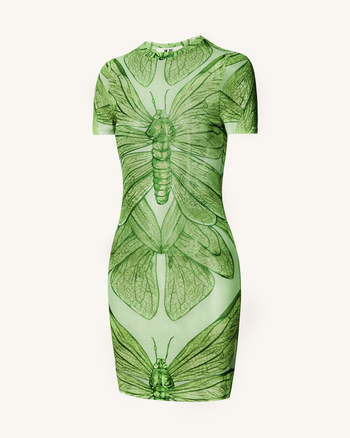 Robe Mini Dragonfly Shell – Vert